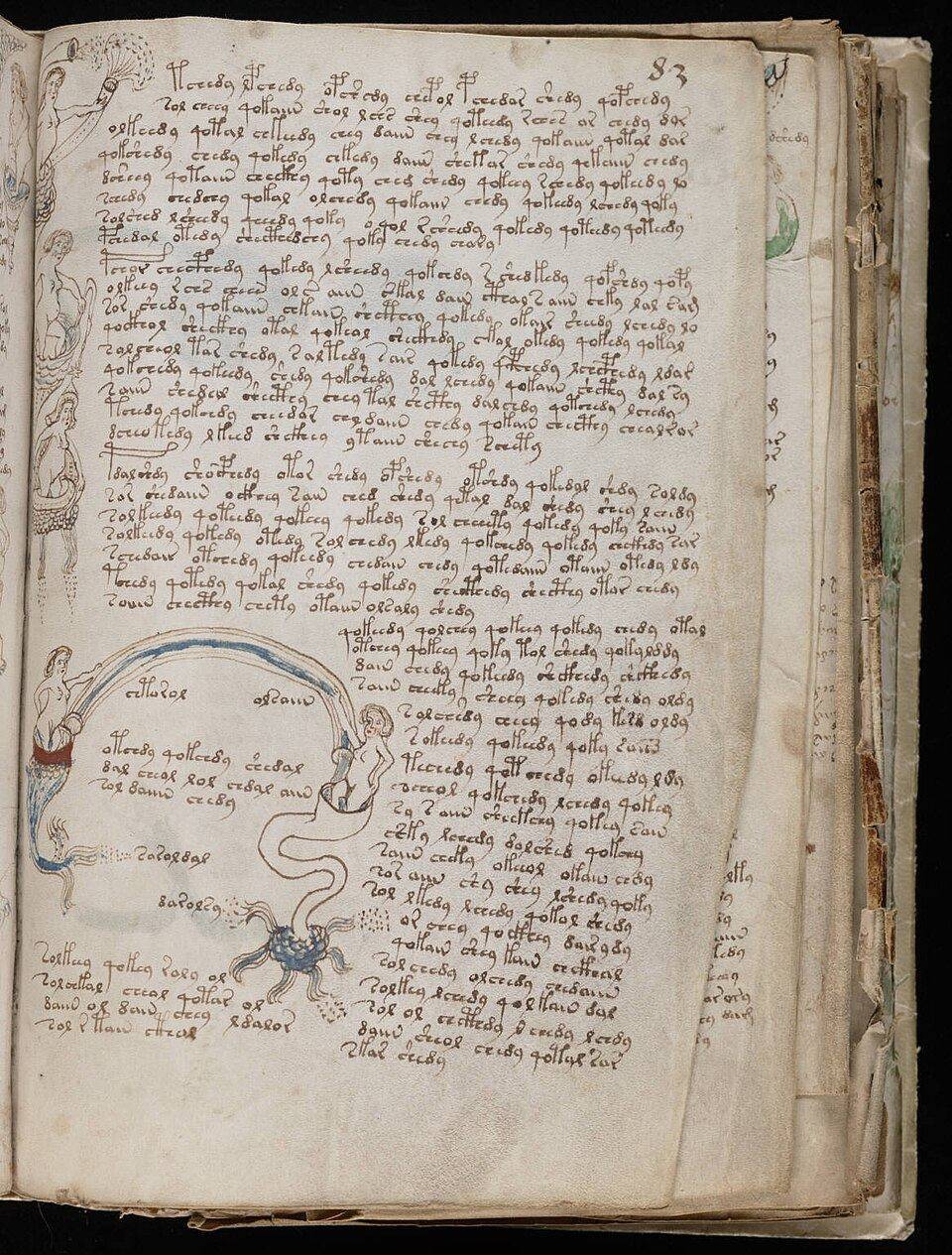 Illustrated folio of the Voynich Manuscript
