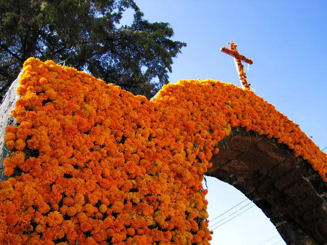 Marigold-covered arch during Día de Muertos commemorations.