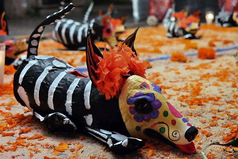 Día de Muertos observance; confirm whether the photograph actually depicts a pet ofrenda before describing it as one.
