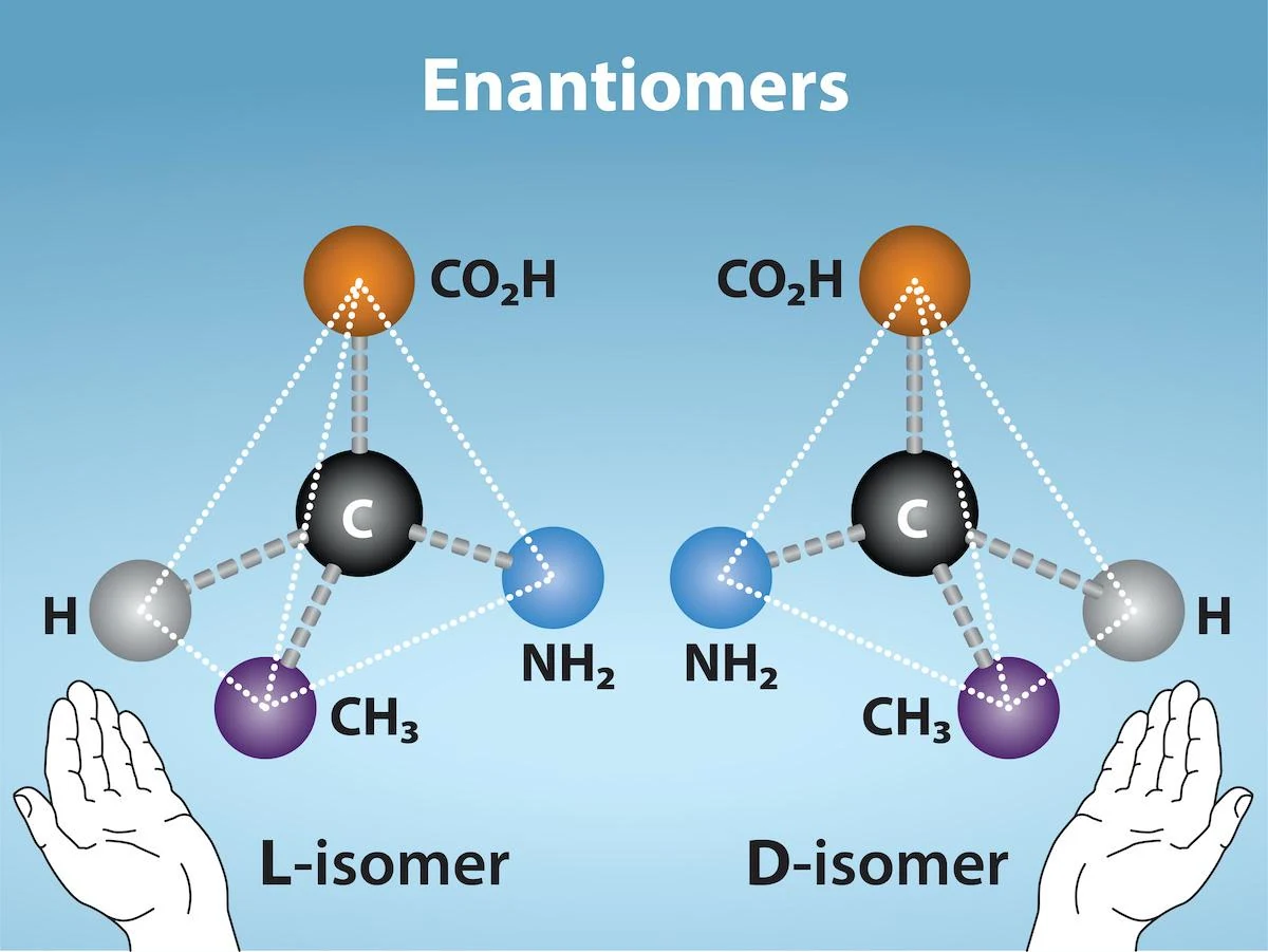 Diagram showing left- and right-handed enantiomers
