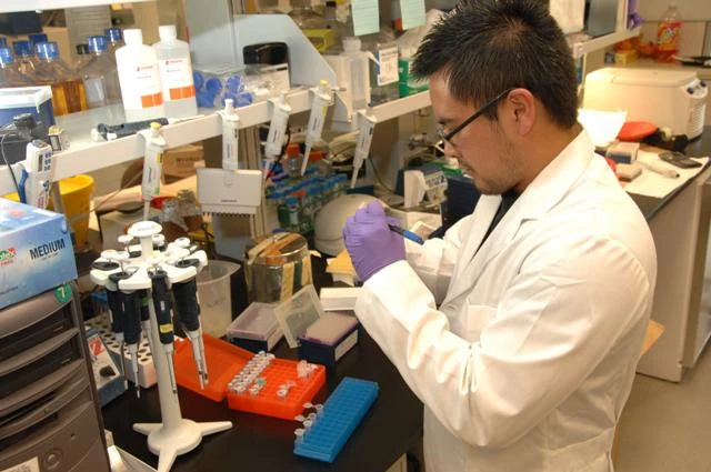 Laboratory scientist working with pipettes